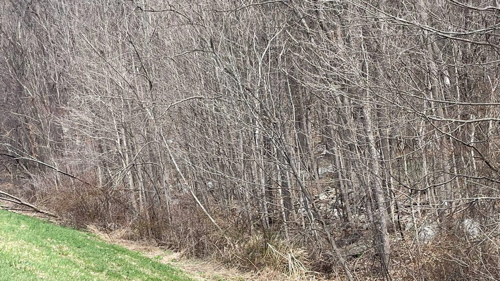 Property at 0 Jansen Rd Landlock, East Fishkill, NY 12531 2