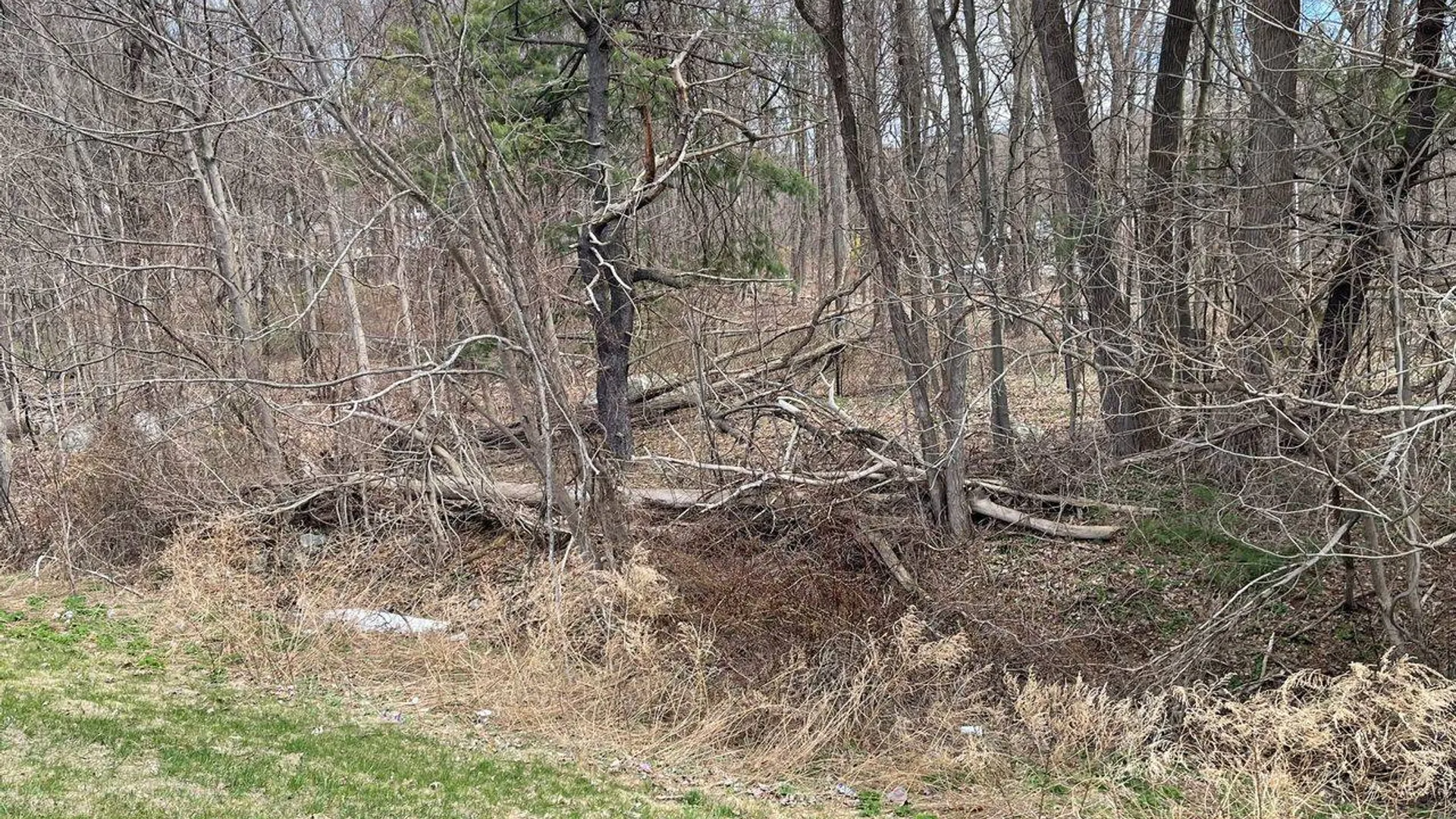 Property at 0 Jansen Rd Landlock, East Fishkill, NY 12531 3