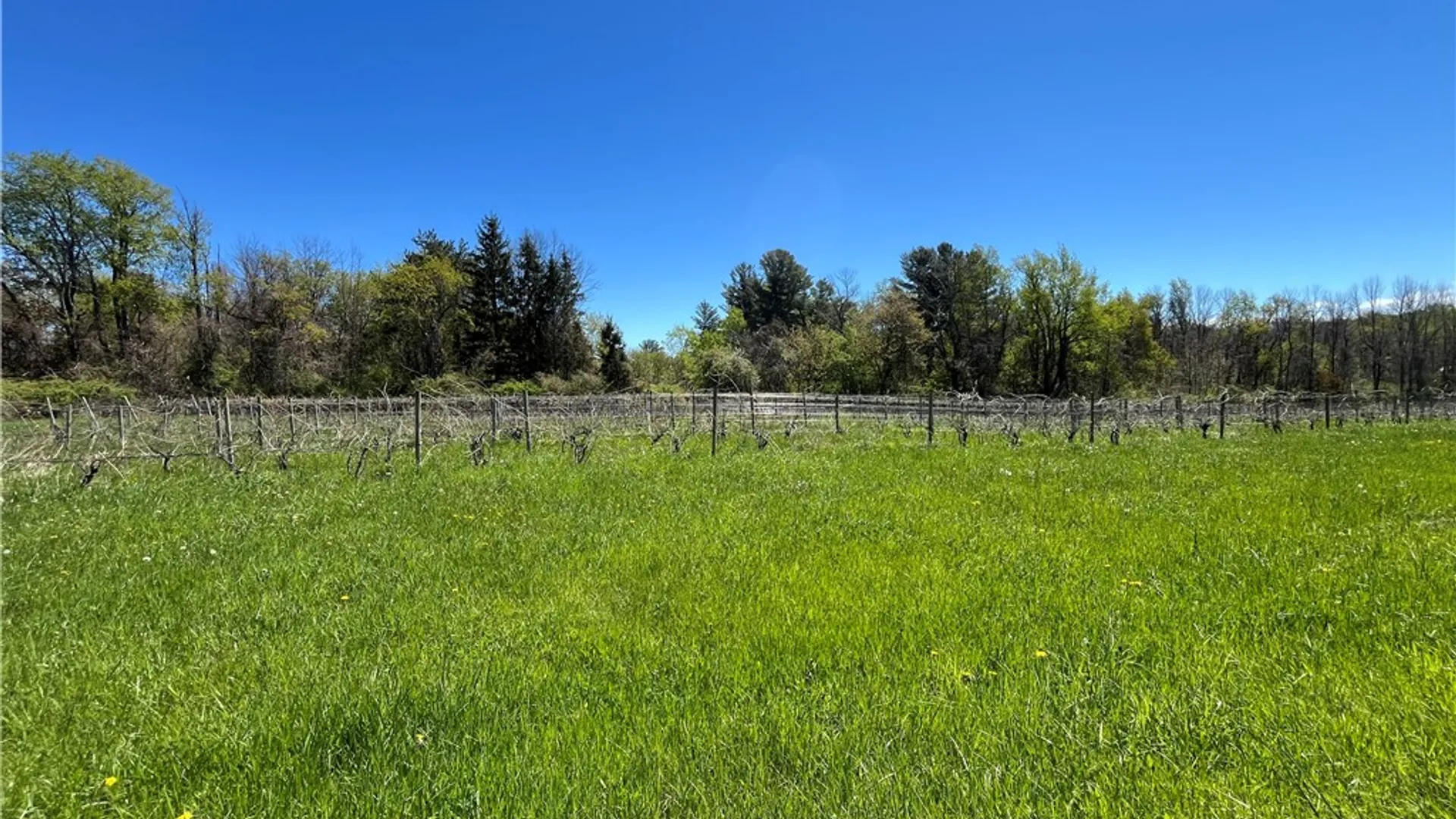 Property at Chimney Heights Boulevard, Huron, NY 14590 6