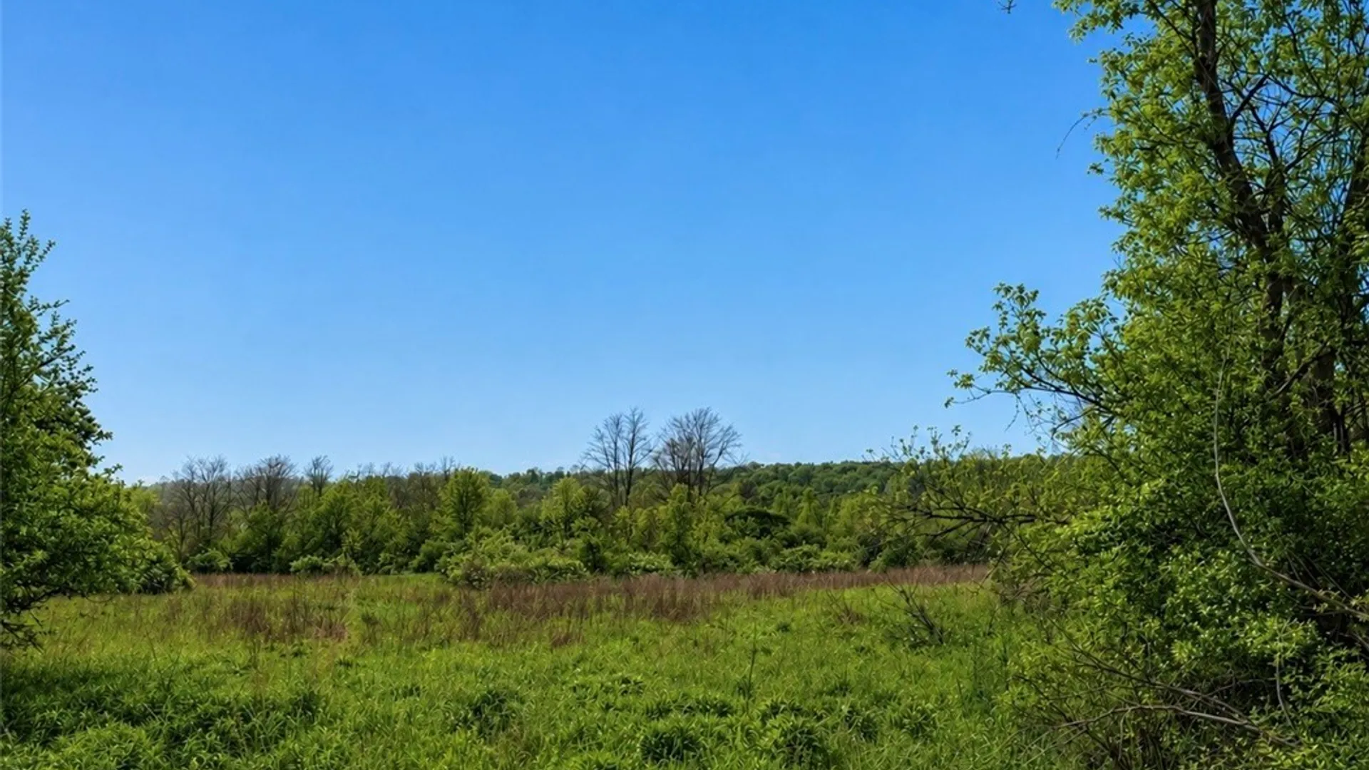 Property at 0 Oran Delphi Rd, Pompey, NY 13104 3