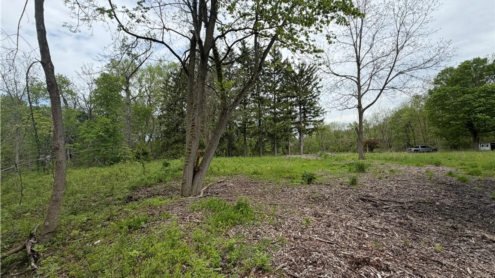 Property at 4880 Ransom Road, Clarence, NY 14301 15