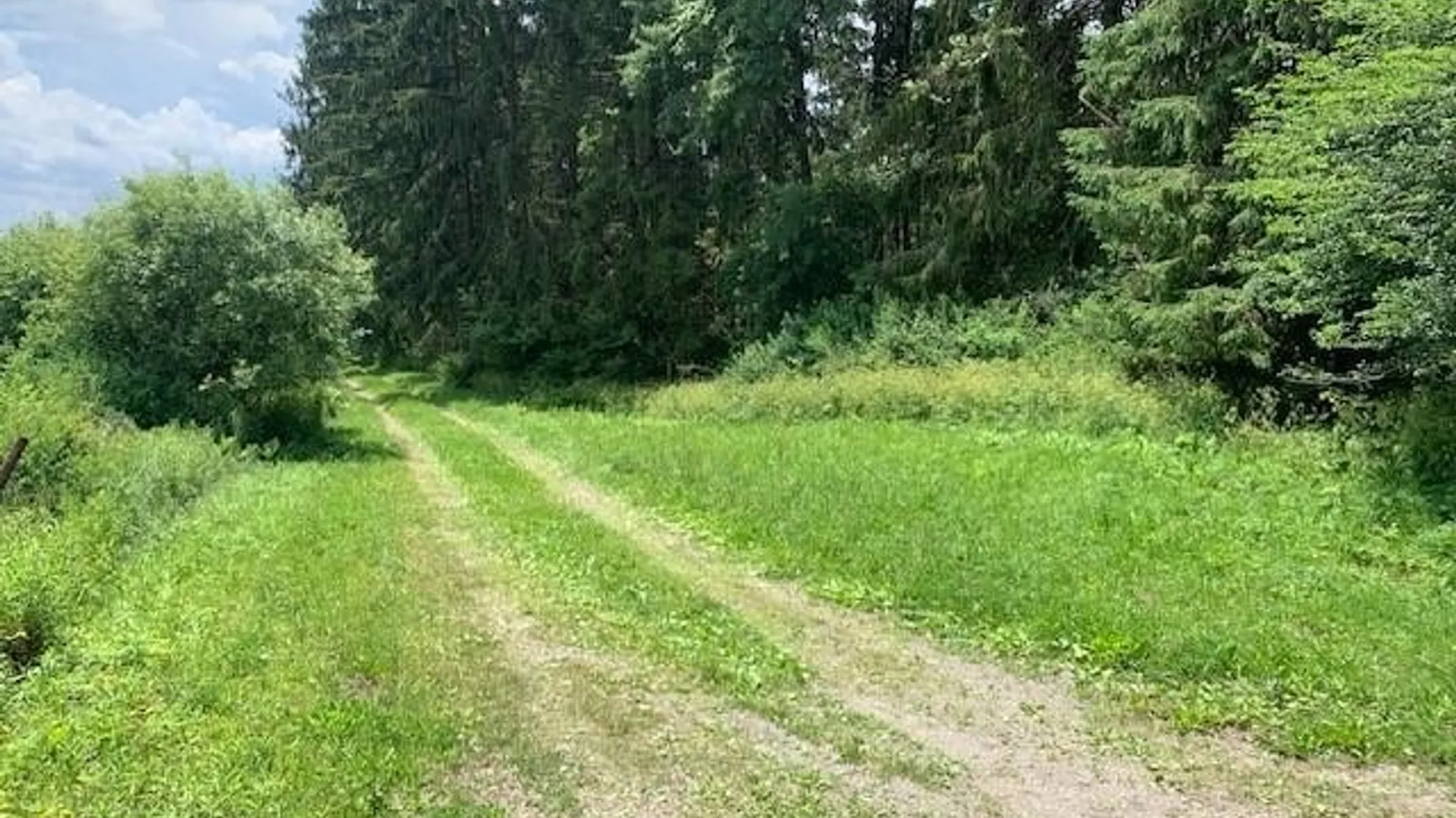 Property at 905 Waterman Road, Ellington, NY 14747 35
