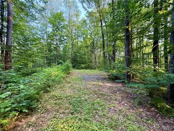 Property at 11470 River Road, Florence, NY 13316