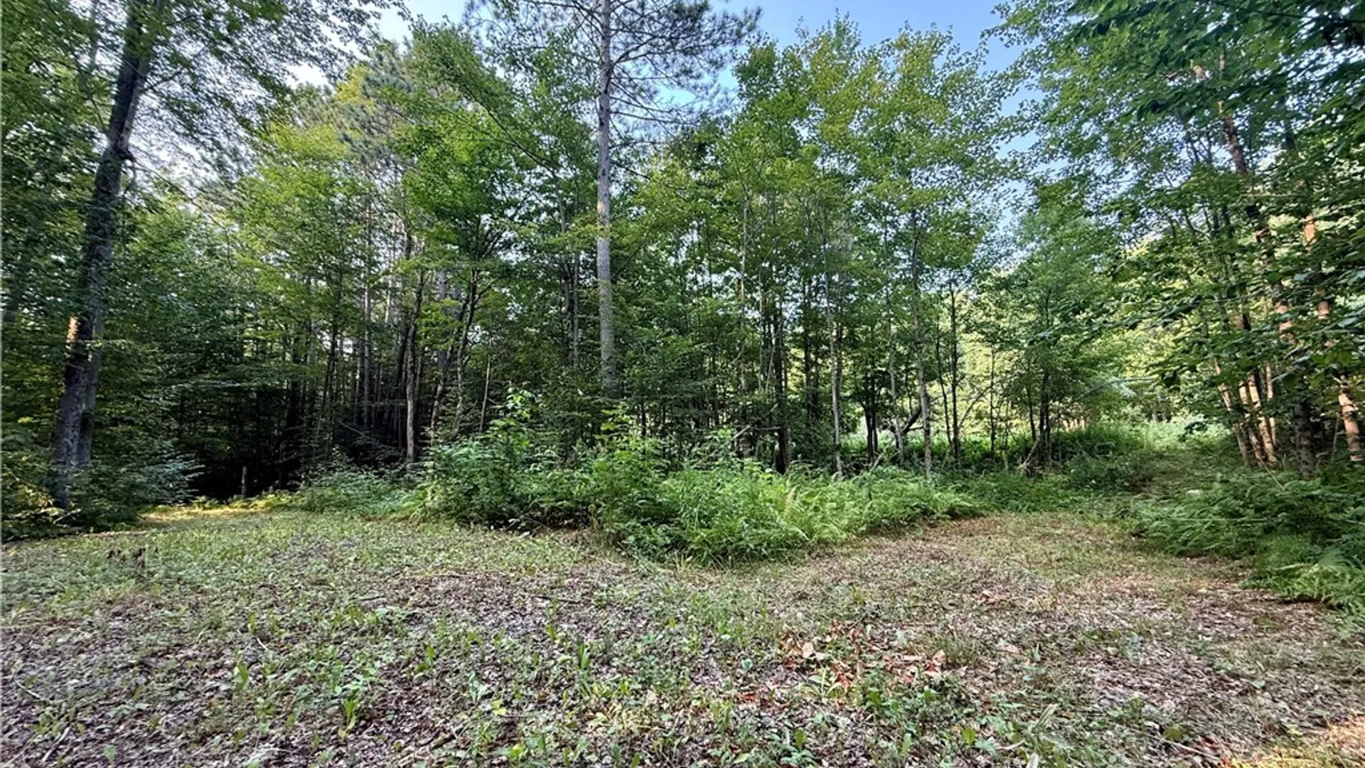 Property at 11470 River Road, Florence, NY 13316 2