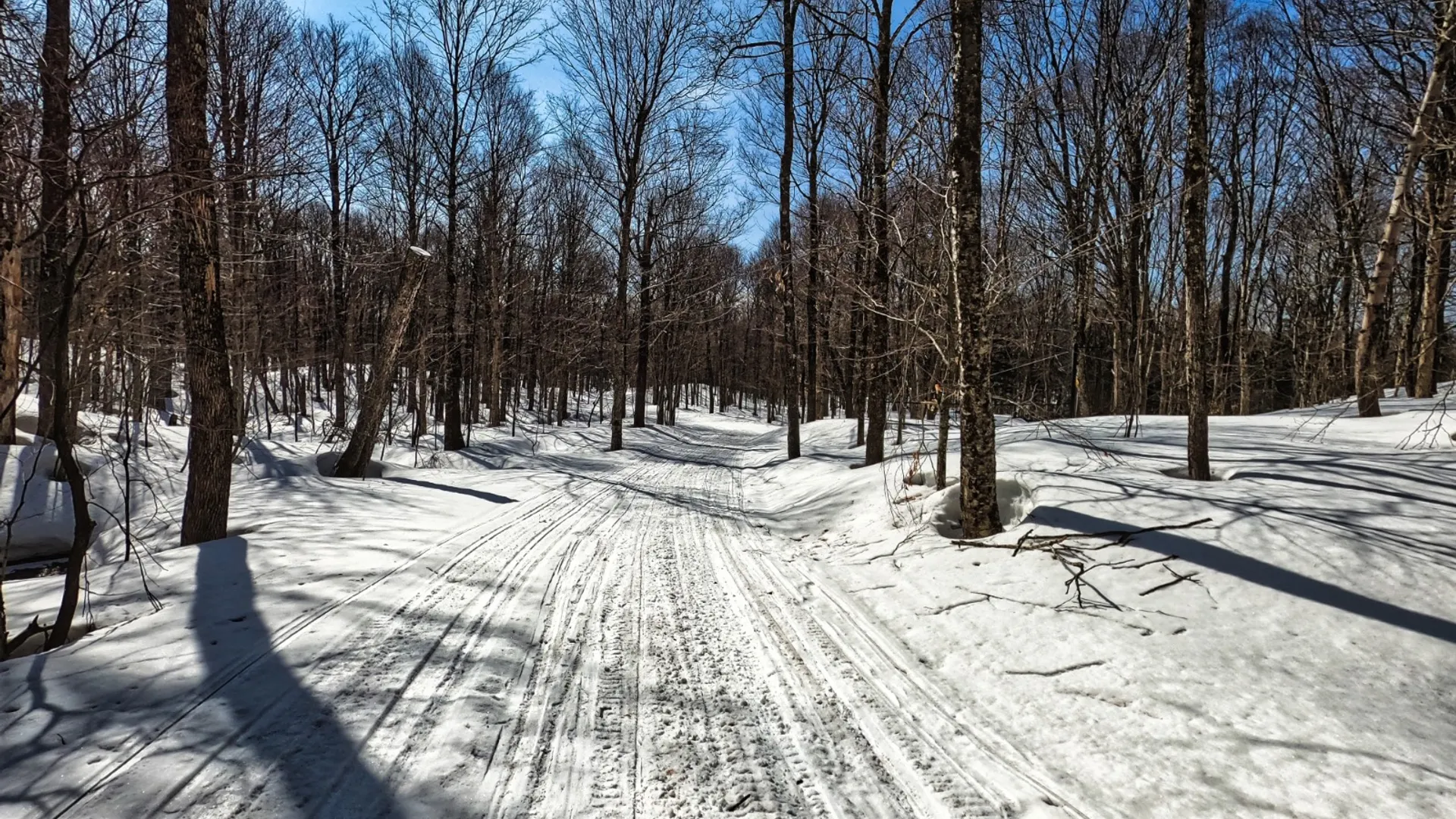 Property at 64 Beaver Crk, Redfield, NY 13437 20