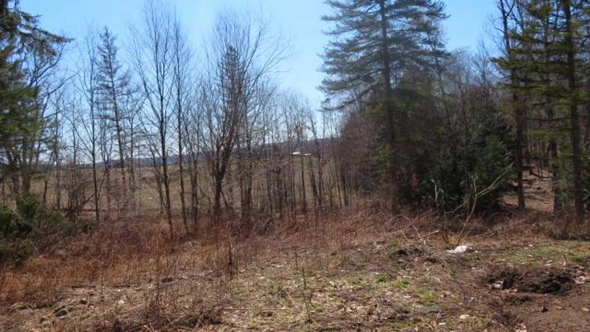 Property at 0 Burdicks Crossing Rd, Greig, NY 13368 10