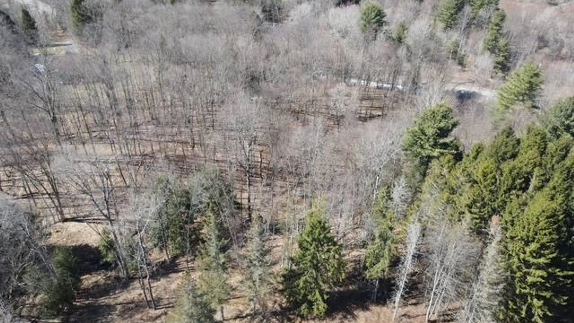 Property at 0 Burdicks Crossing Rd, Greig, NY 13368 3