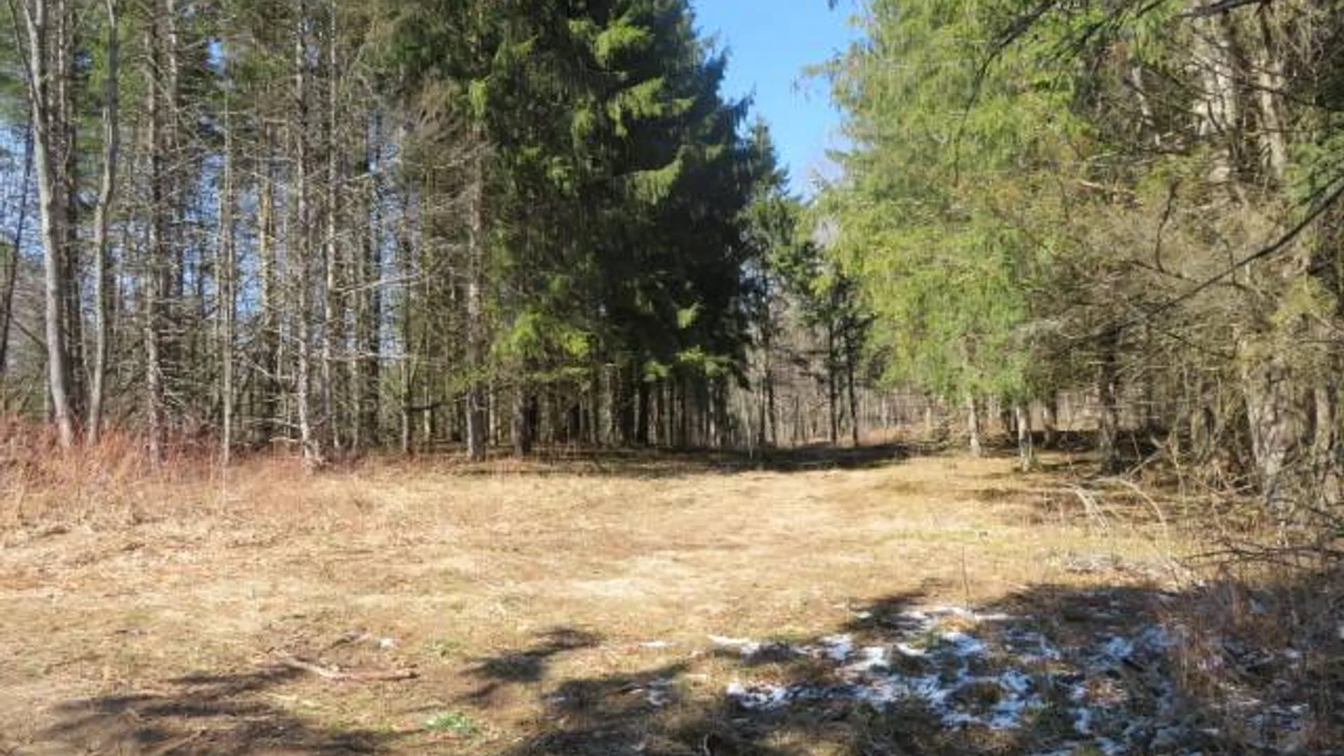 Property at 0 Burdicks Crossing Rd, Greig, NY 13368 4