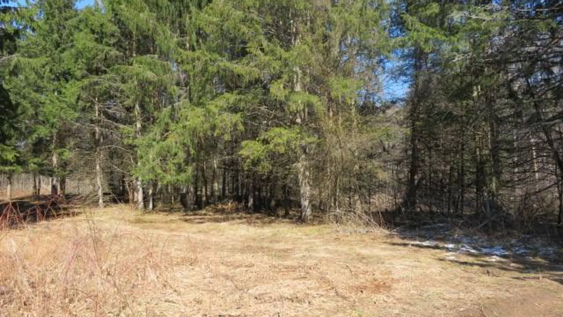 Property at 0 Burdicks Crossing Rd, Greig, NY 13368 5