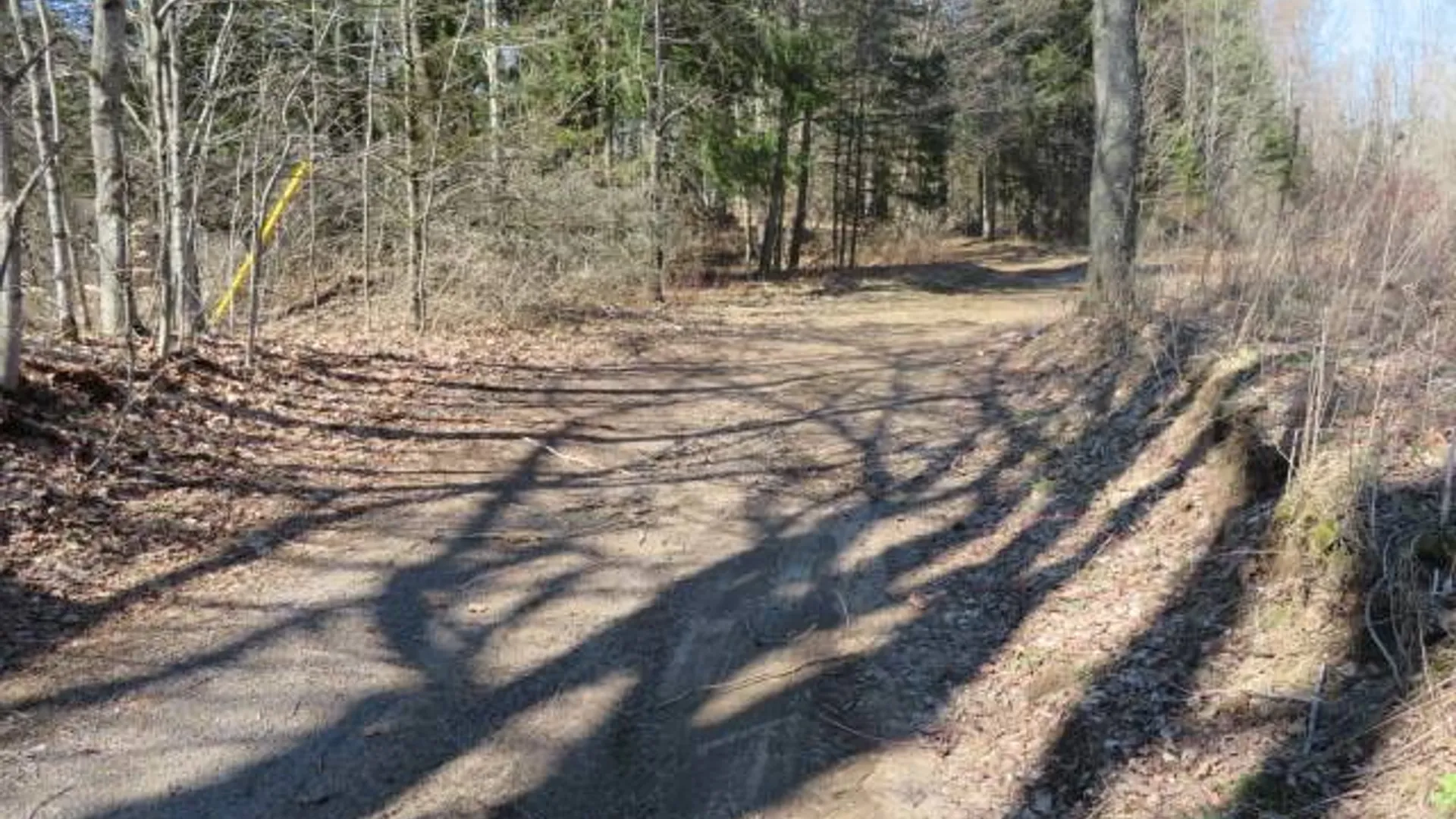 Property at 0 Burdicks Crossing Rd, Greig, NY 13368 7