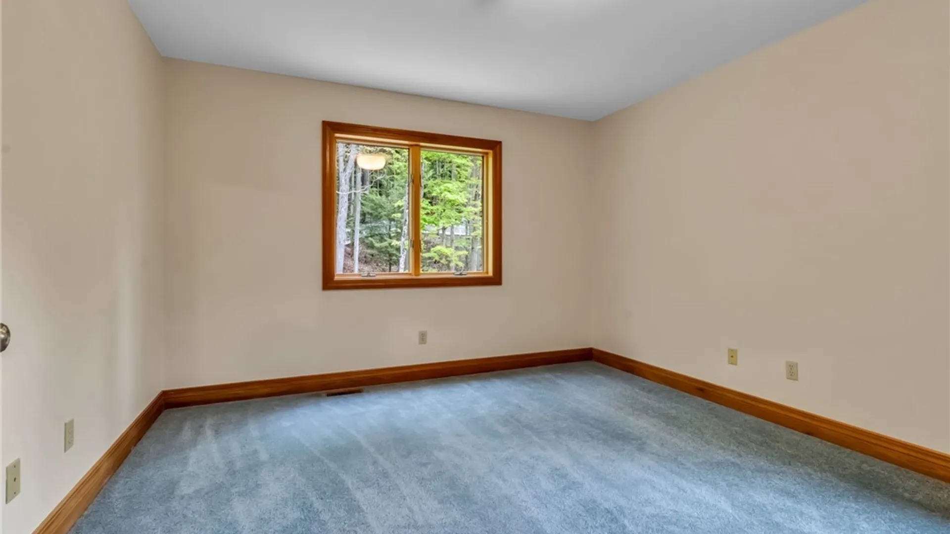 Property at 7239 S Abbott Road, Boston, NY 14075 17