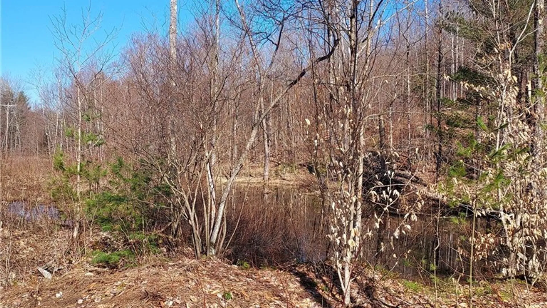 Property at 328 State Highway 58, Fine, NY 13639 26