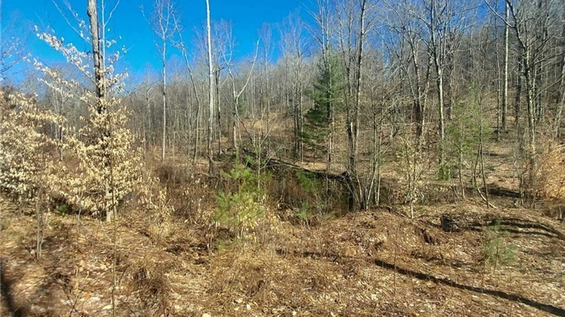 Property at 328 State Highway 58, Fine, NY 13639 31