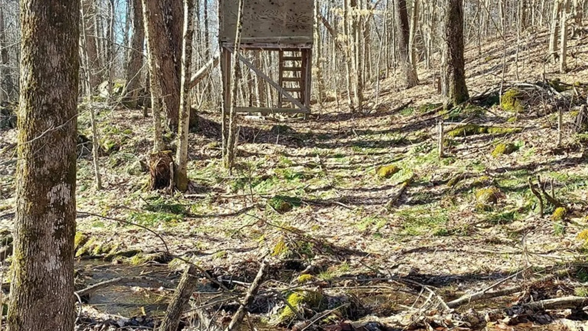Property at 328 State Highway 58, Fine, NY 13639 32