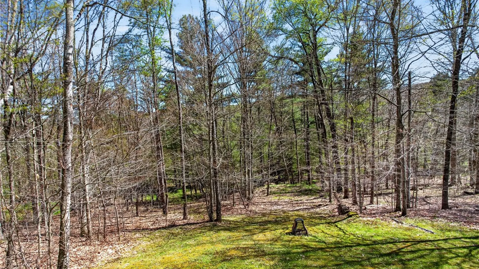 Property at 470 Hornbeck Road, Harpersfield, NY 13786 36