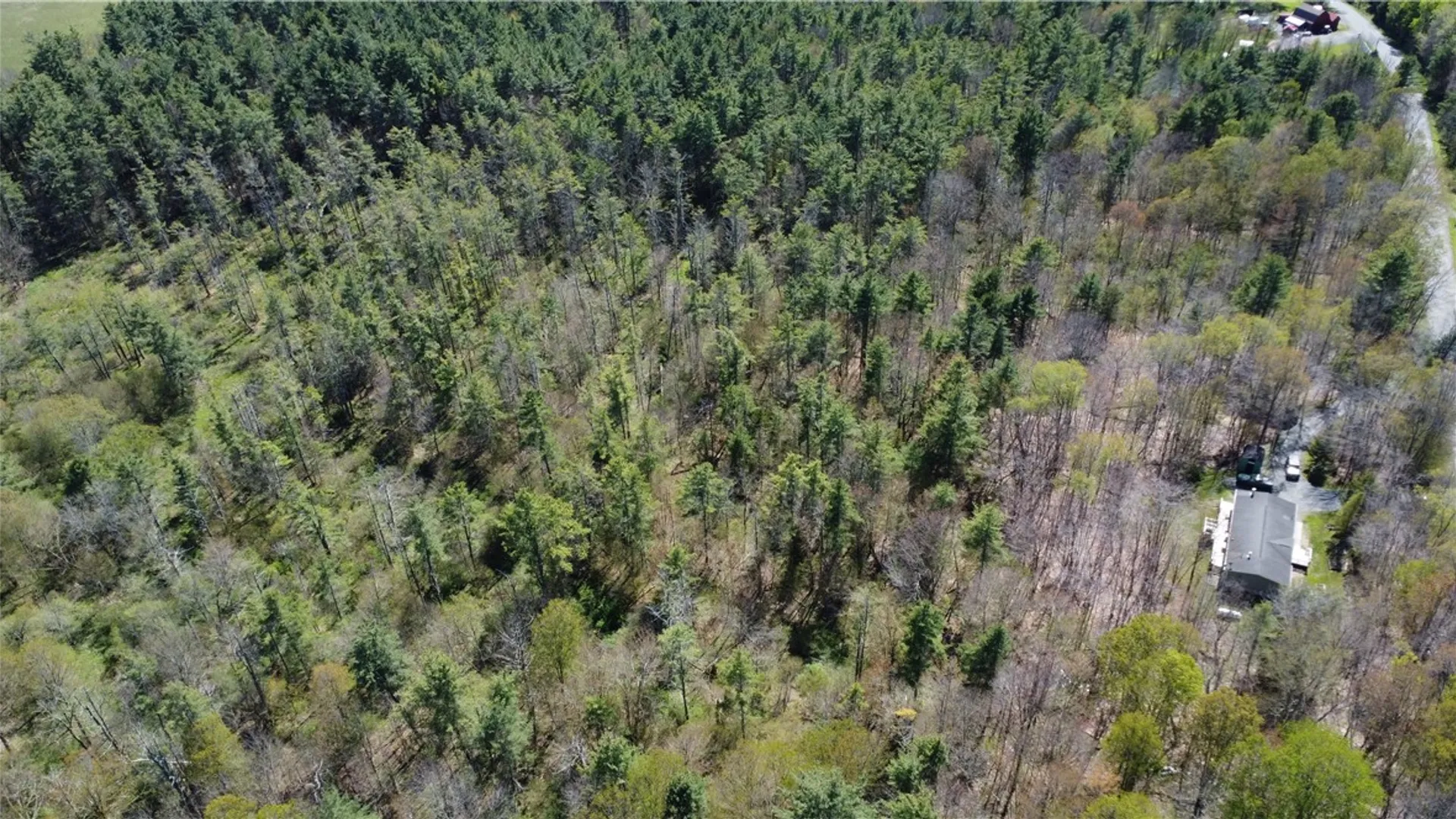 Property at 470 Hornbeck Road, Harpersfield, NY 13786 39