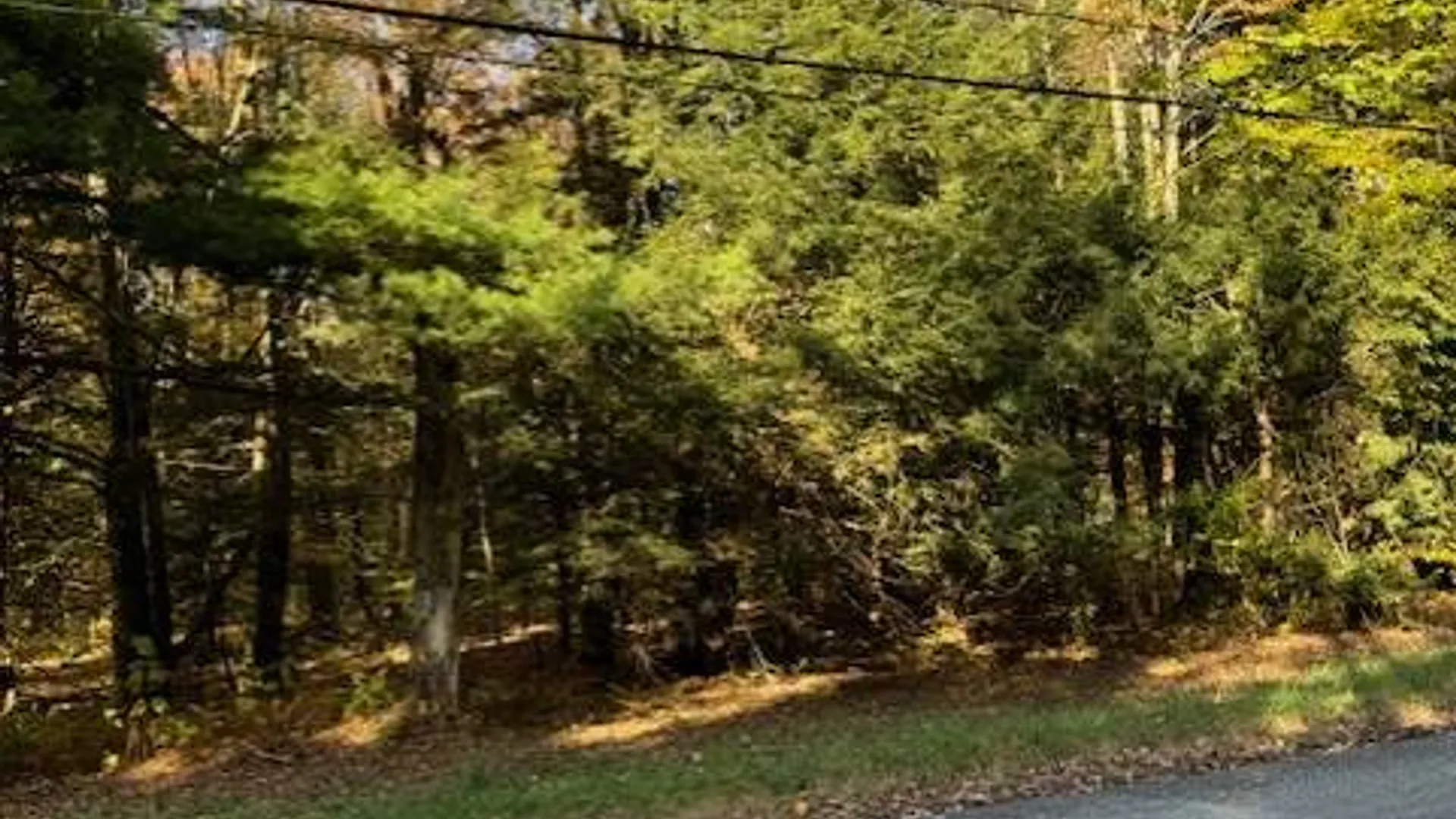 Property at 129 Stacy Dr, Lacona, NY 13083 2