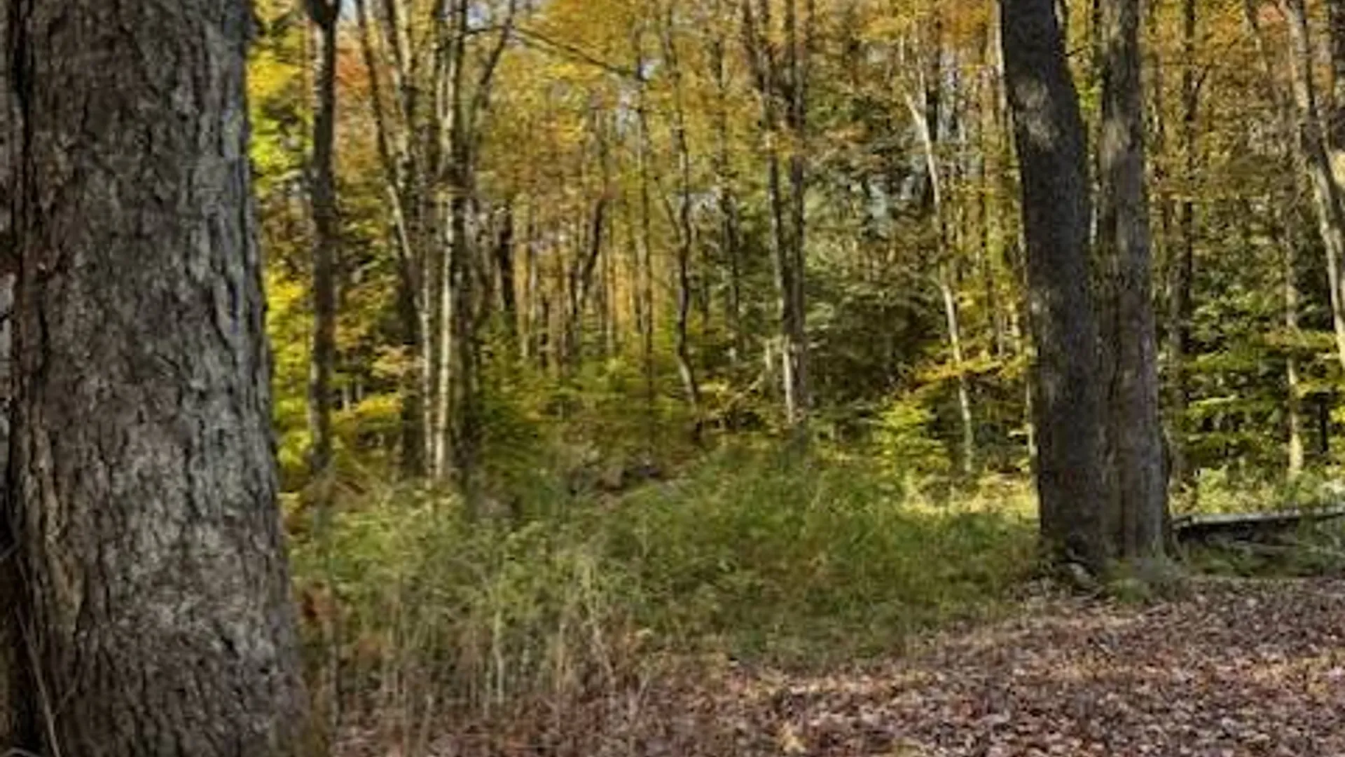 Property at 129 Stacy Dr, Lacona, NY 13083 3