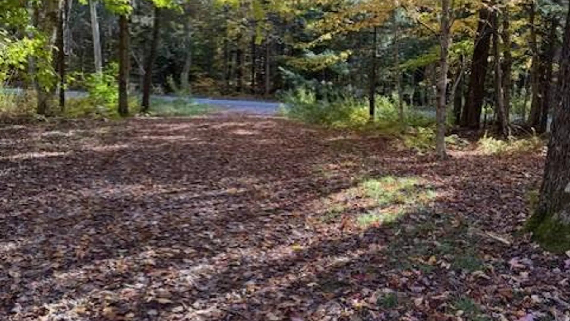 Property at 129 Stacy Dr, Lacona, NY 13083 4