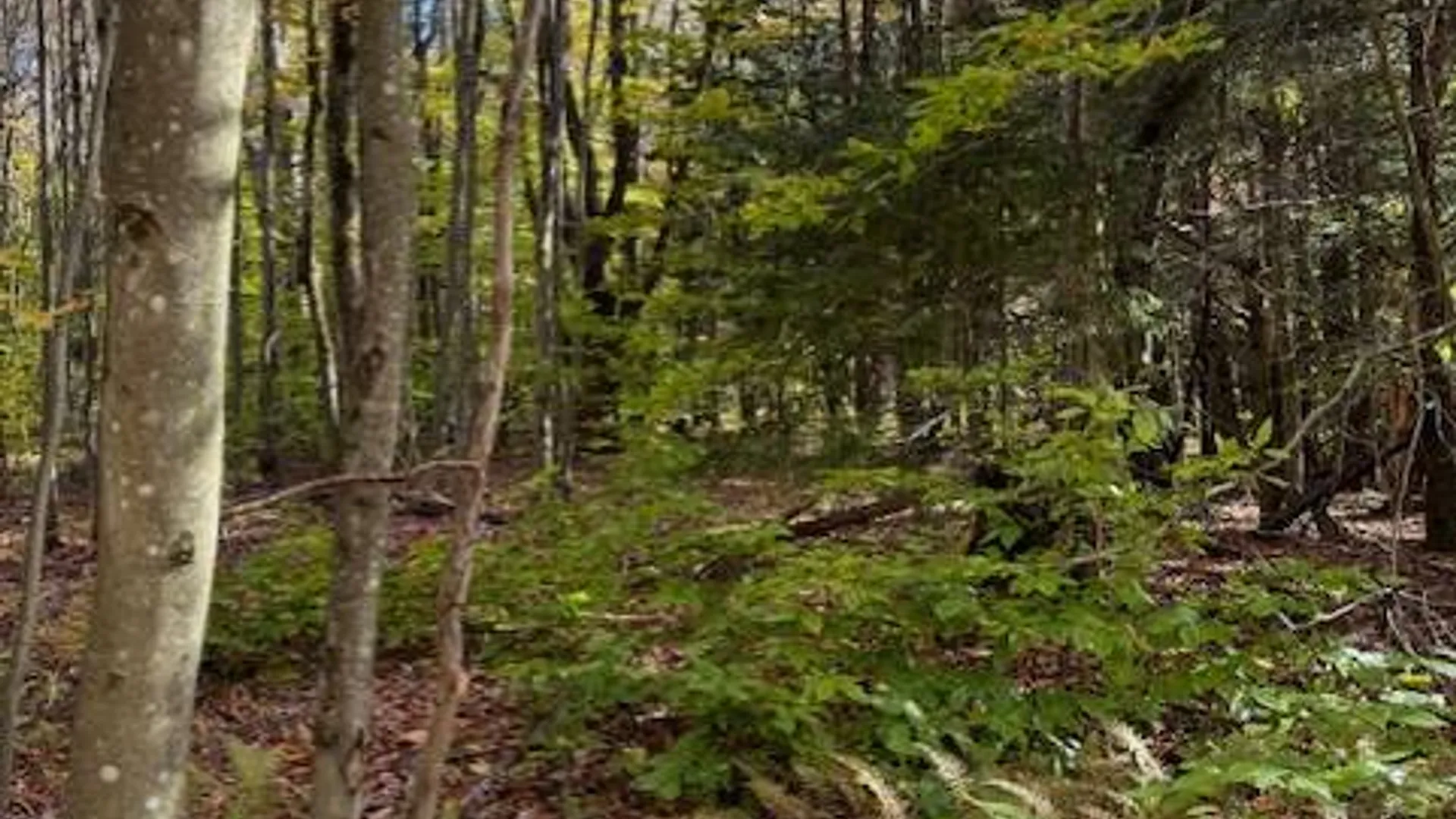 Property at 129 Stacy Dr, Lacona, NY 13083 7