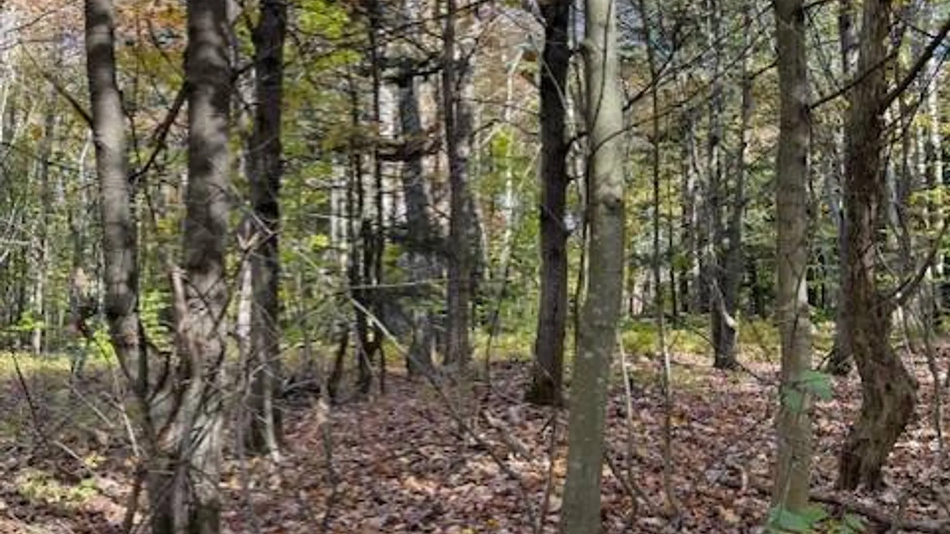 Property at 129 Stacy Dr, Lacona, NY 13083 8