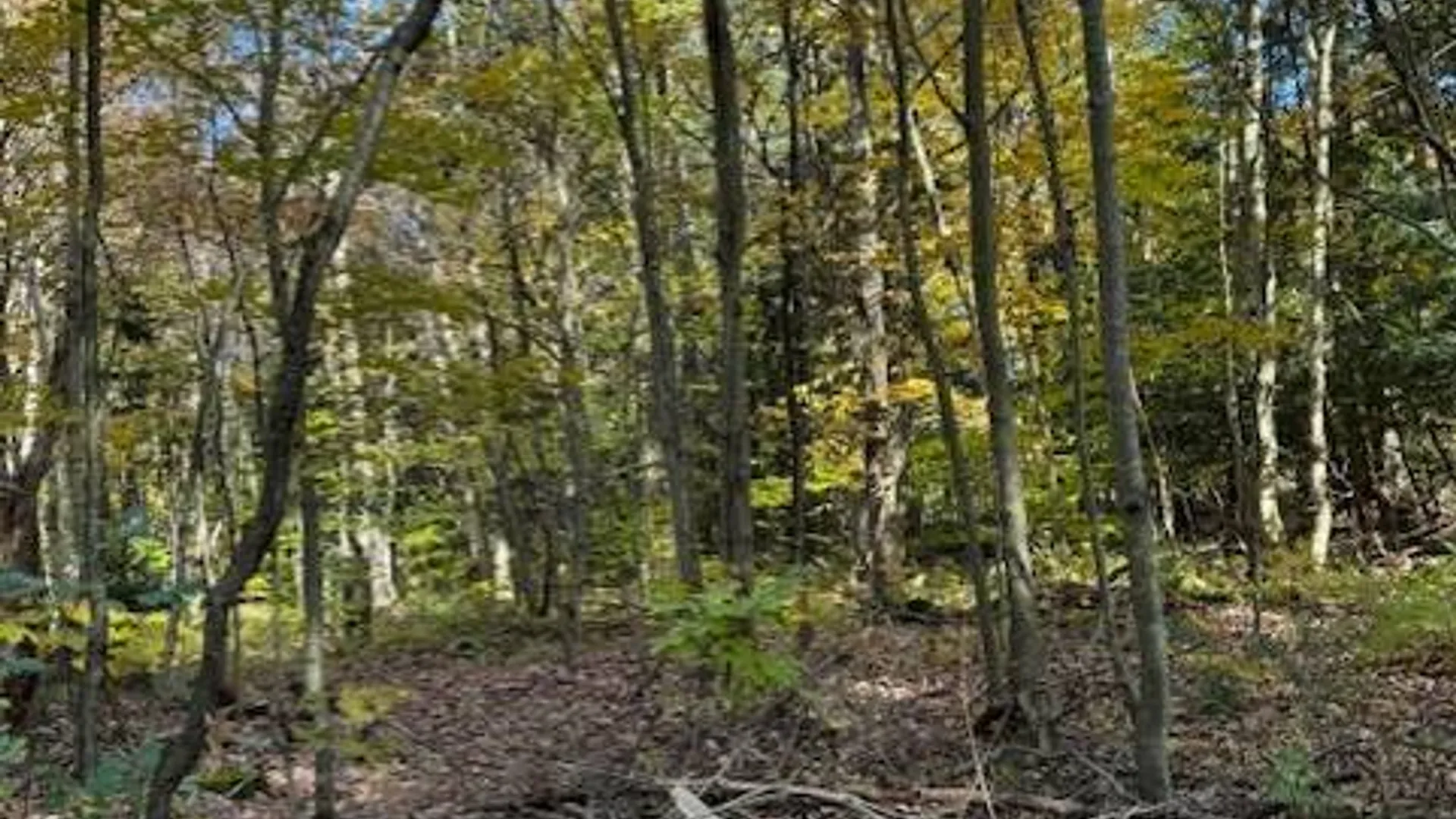 Property at 129 Stacy Dr, Lacona, NY 13083 9