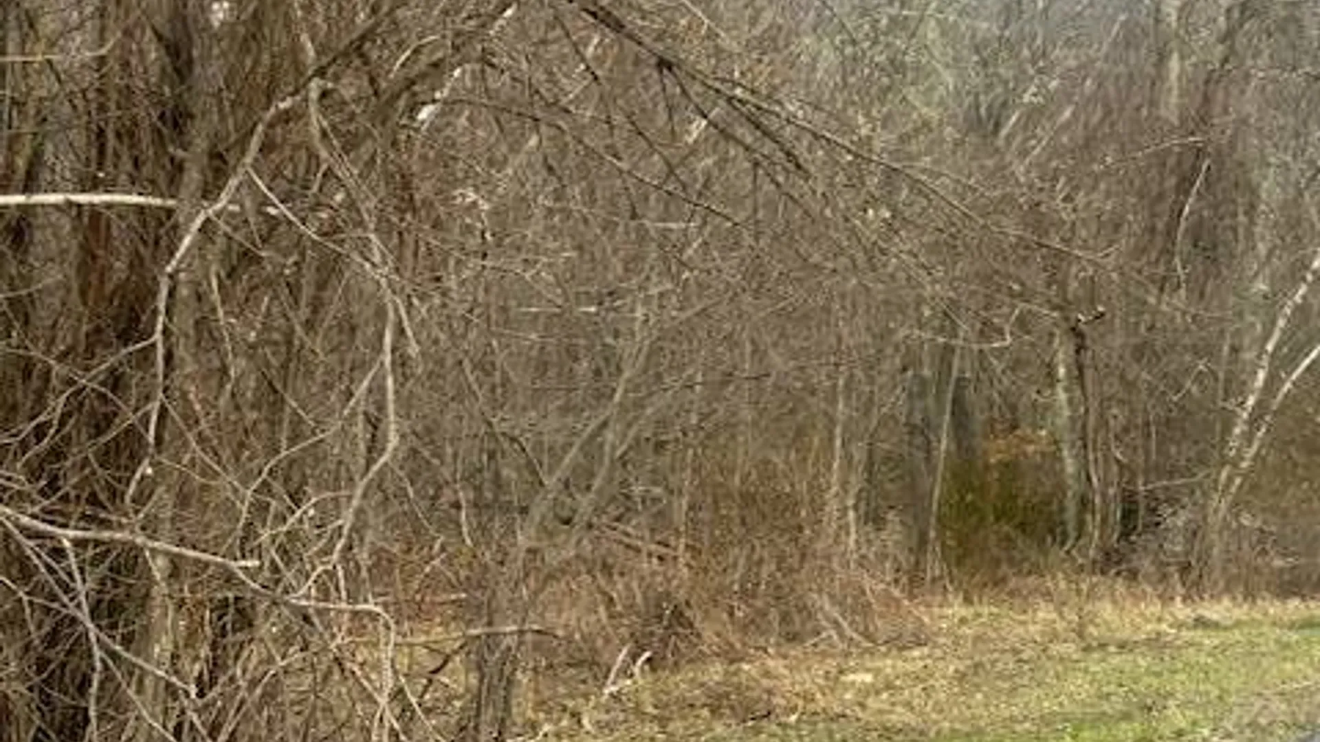 Property at 16 Lookout Mountain Drive, Hunter, NY 12442 4