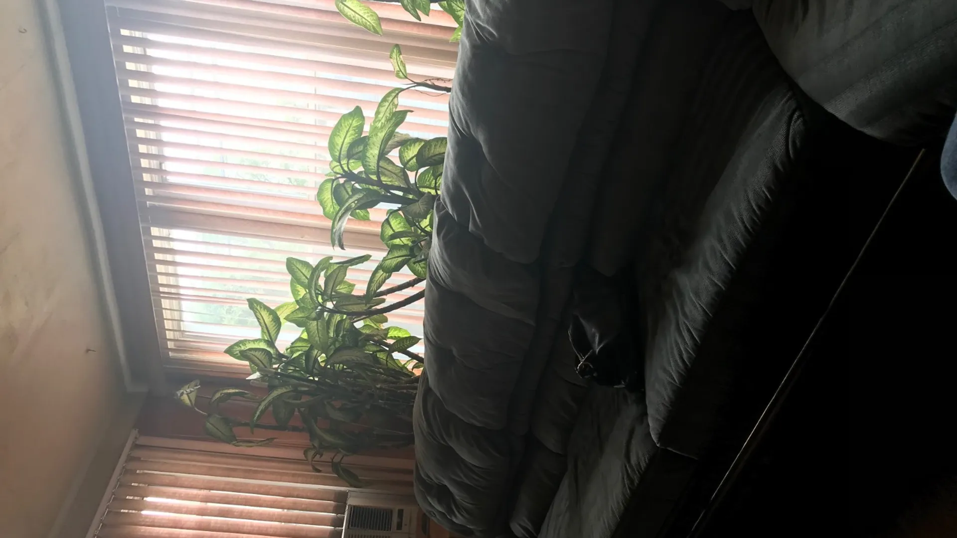 Property at 2727 Gillmore Street, East Elmhurst, NY 11369 2