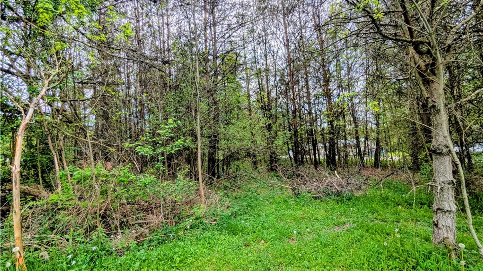 Property at 2 Two Mile Road, Liberty Town, PA 16749 10
