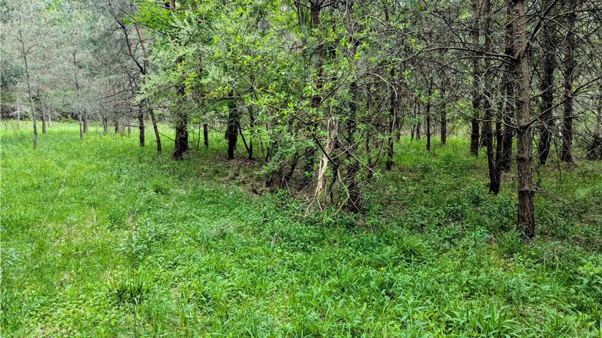 Property at 2 Two Mile Road, Liberty Town, PA 16749 13