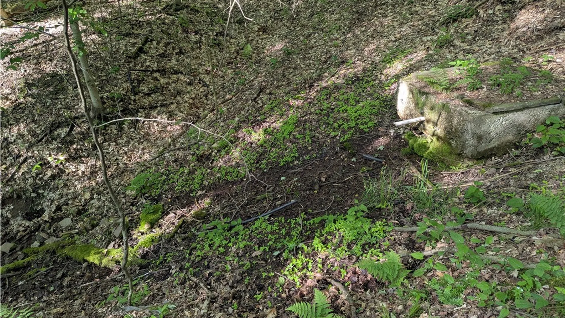 Property at 00 Two Mile Road, Liberty Town, PA 16749 15