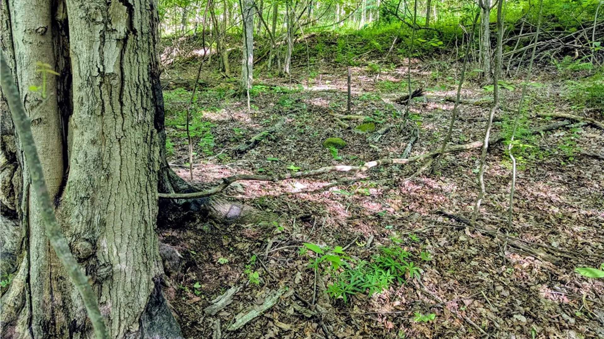 Property at 00 Two Mile Road, Liberty Town, PA 16749 20