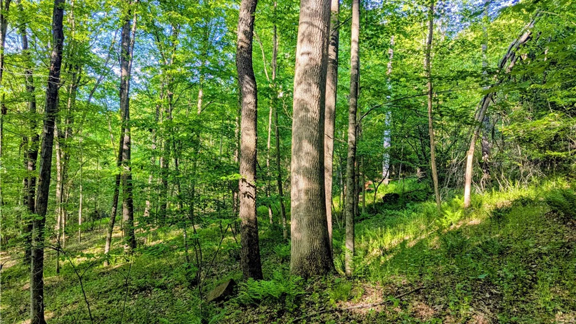 Property at 00 Two Mile Road, Liberty Town, PA 16749 25