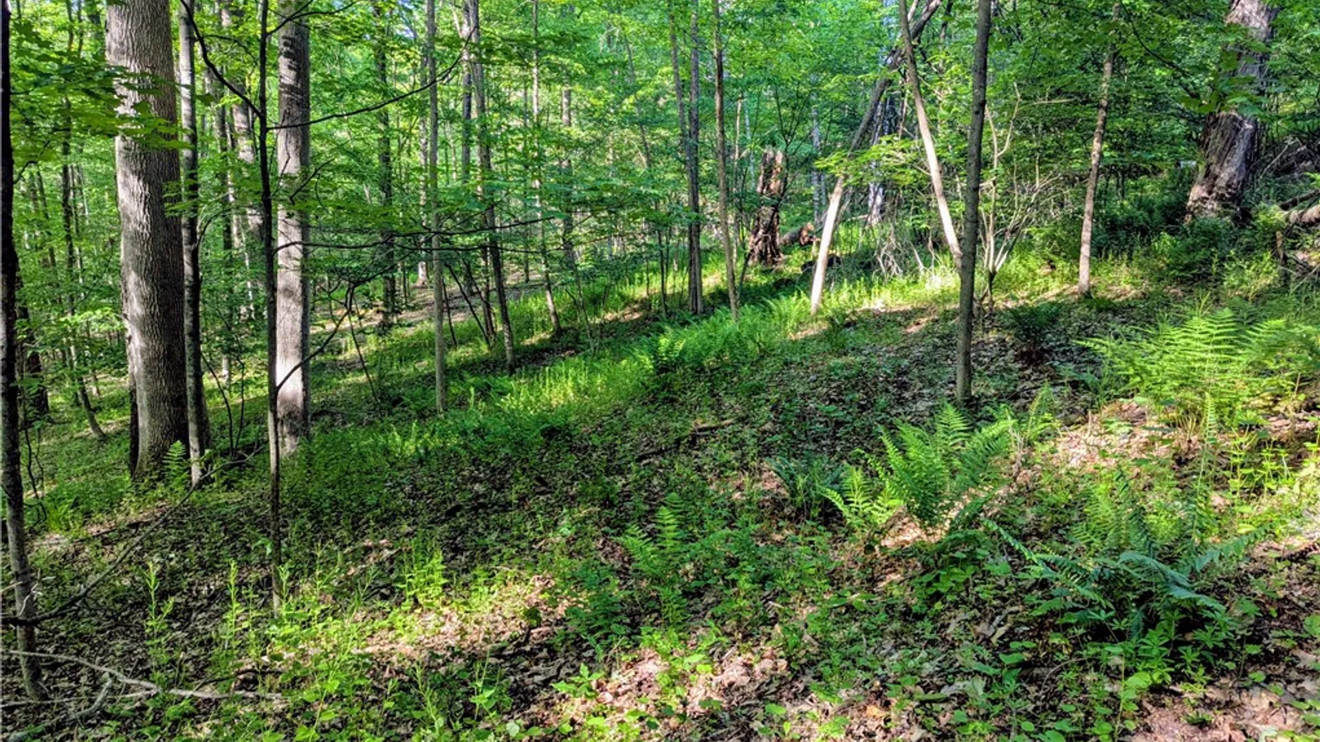 Property at 00 Two Mile Road, Liberty Town, PA 16749 26