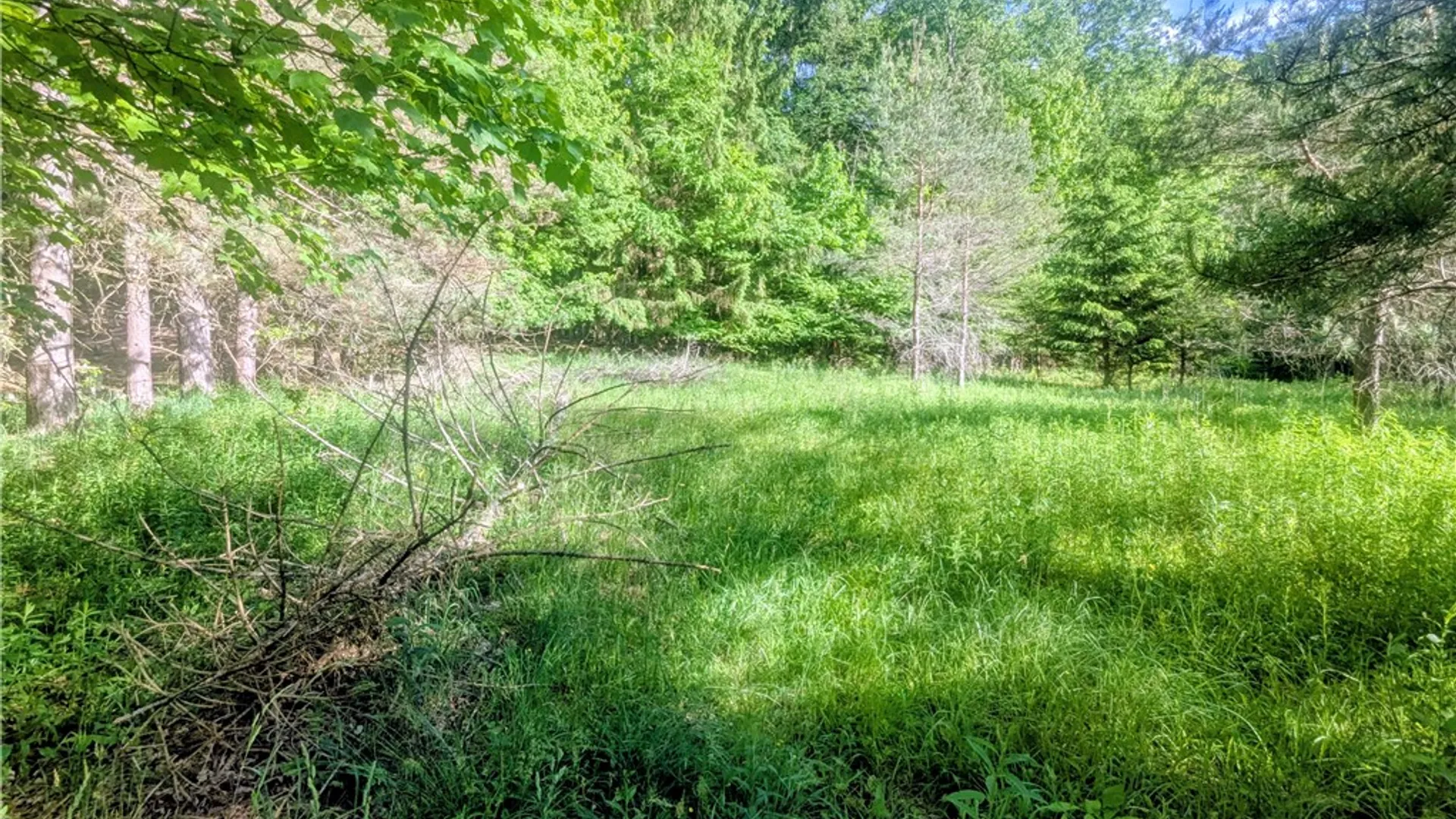 Property at 00 Two Mile Road, Liberty Town, PA 16749 27
