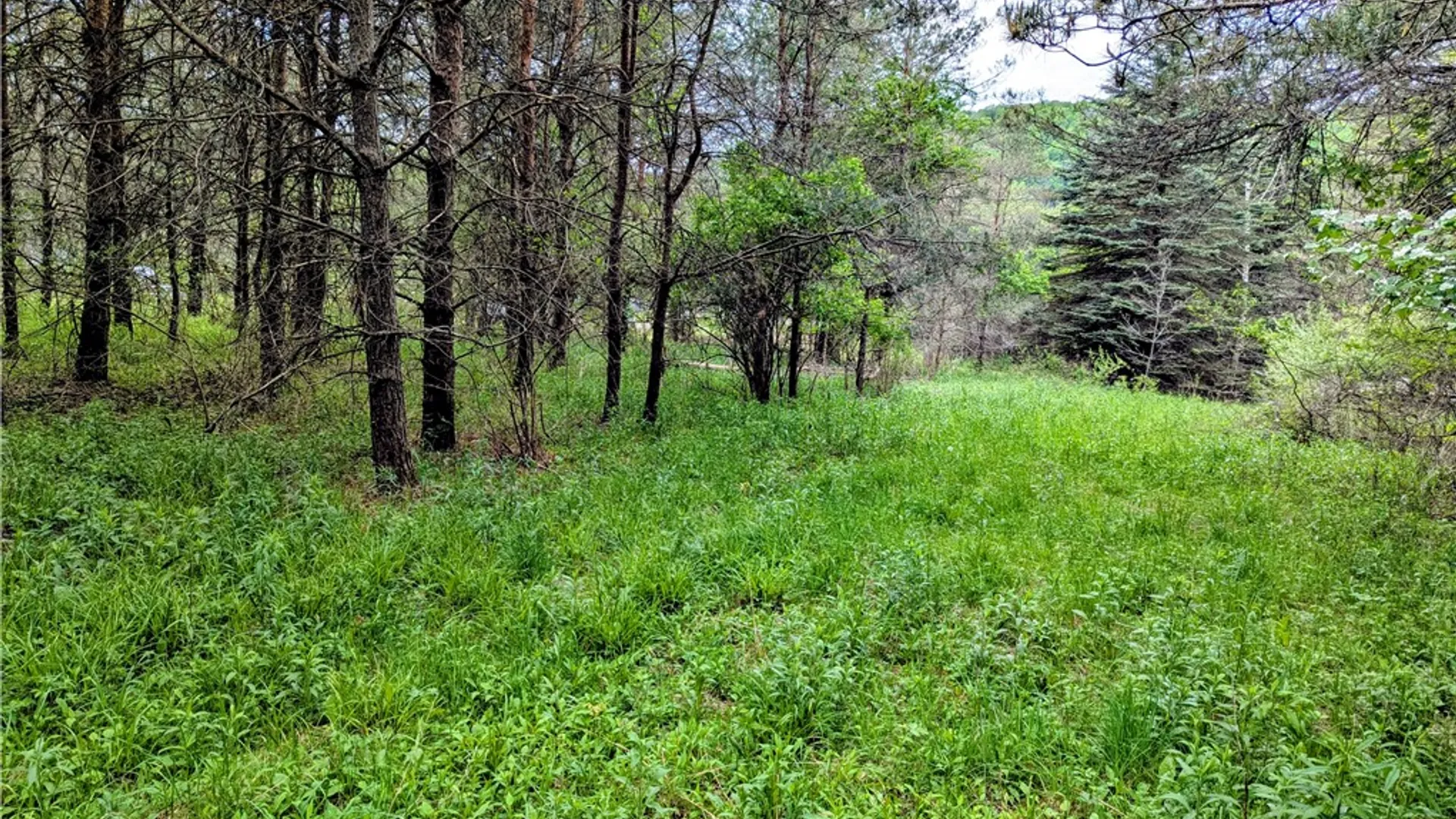 Property at 2 Two Mile Road, Liberty Town, PA 16749 3