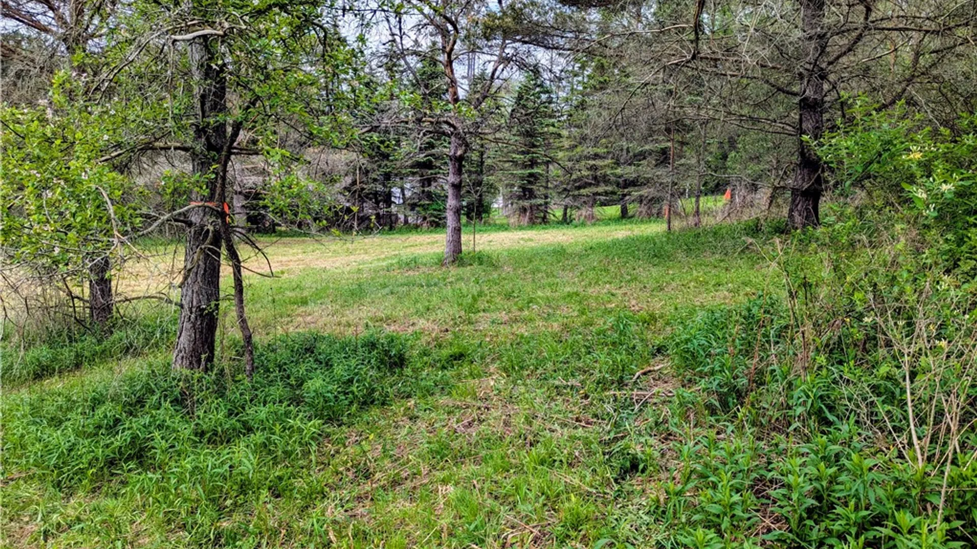 Property at 2 Two Mile Road, Liberty Town, PA 16749 4