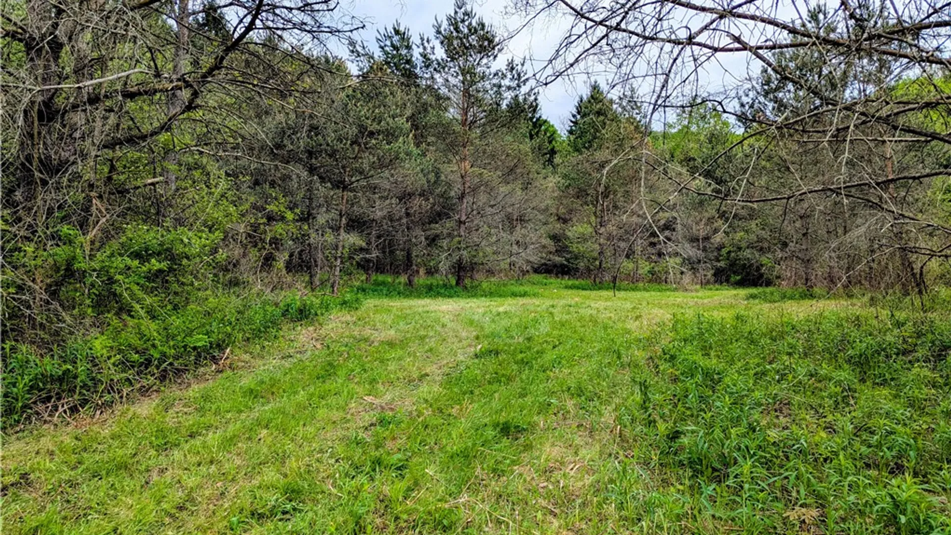 Property at 2 Two Mile Road, Liberty Town, PA 16749 5