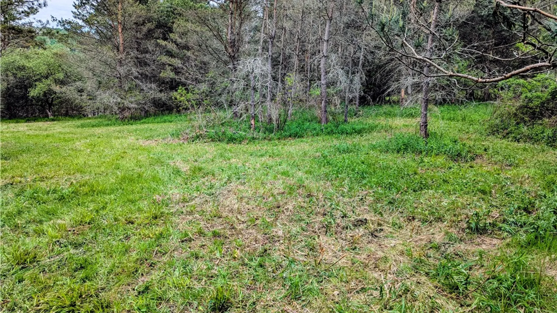 Property at 2 Two Mile Road, Liberty Town, PA 16749 9
