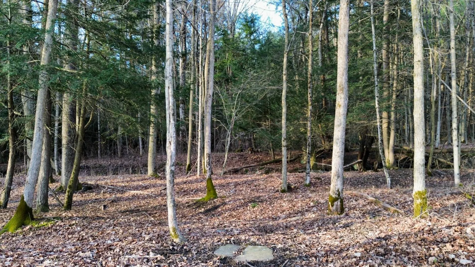 Property at L121 South Church Rd, Cameron Mills, NY 14820 17