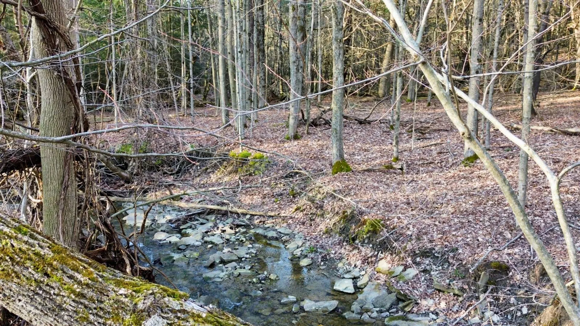Property at L121 South Church Rd, Cameron Mills, NY 14820 18