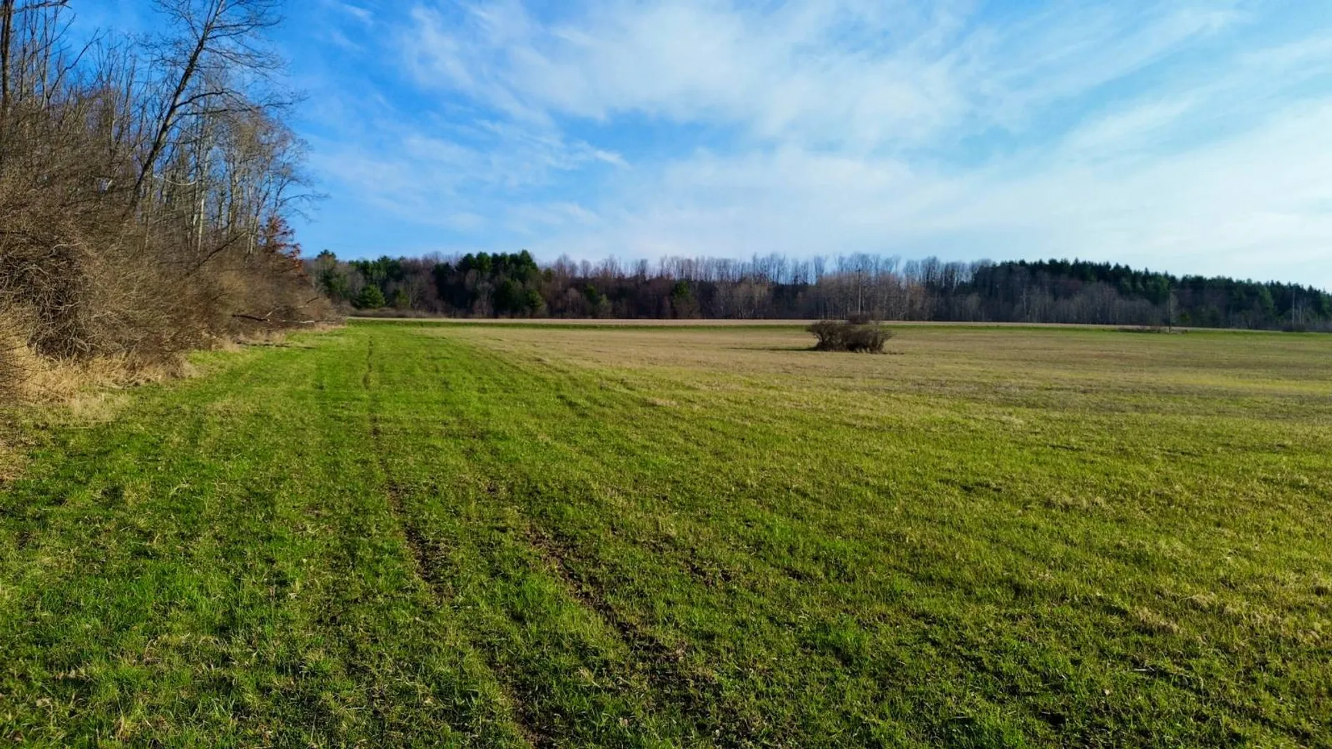 Property at L121 South Church Rd, Cameron Mills, NY 14820 19