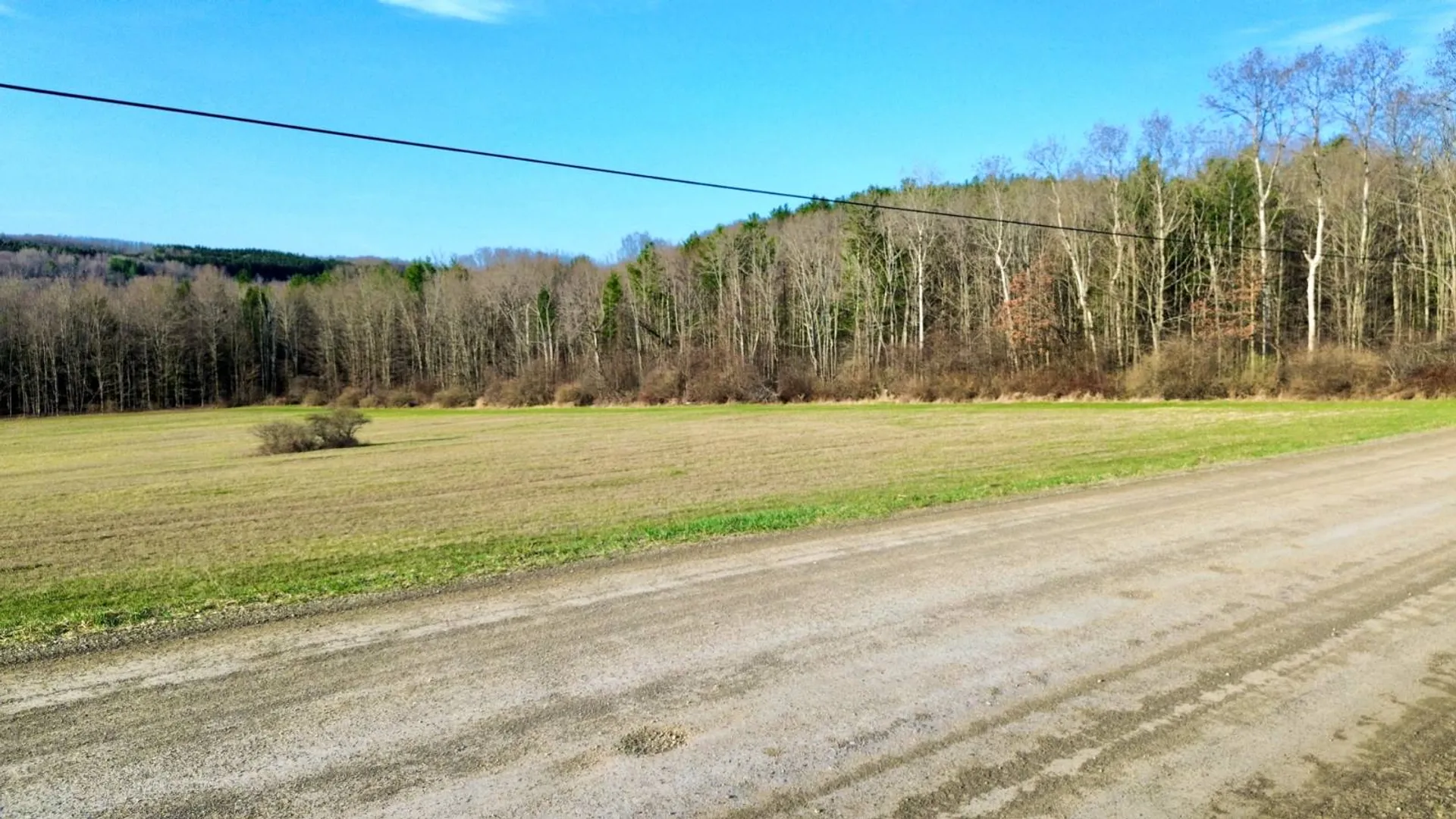 Property at L121 South Church Rd, Cameron Mills, NY 14820 21