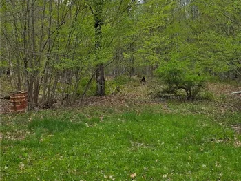 Steelhead Lane, Williamstown, NY 13493