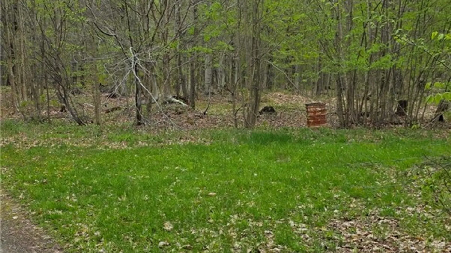 Property at Steelhead Lane, Williamstown, NY 13493 3