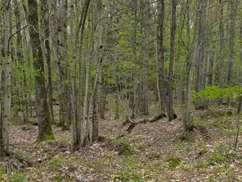Property at Steelhead Lane, Williamstown, NY 13493