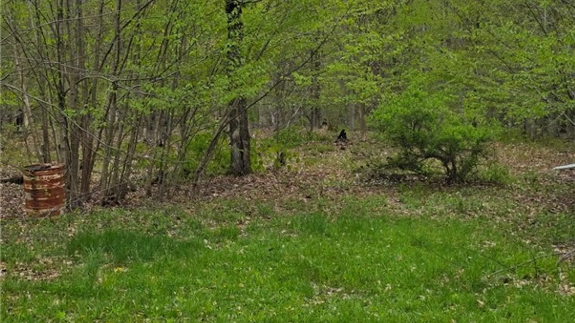 Property at Steelhead Lane, Williamstown, NY 13493 2