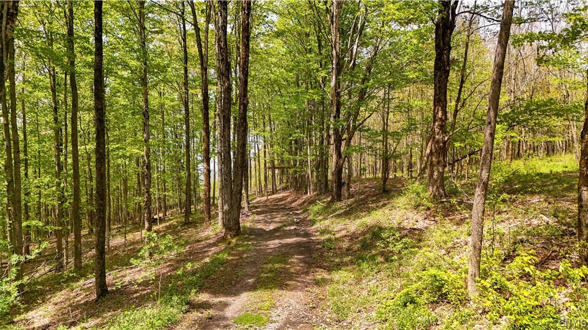 Property at Smith Hill Road, Deerfield, NY 13502 6