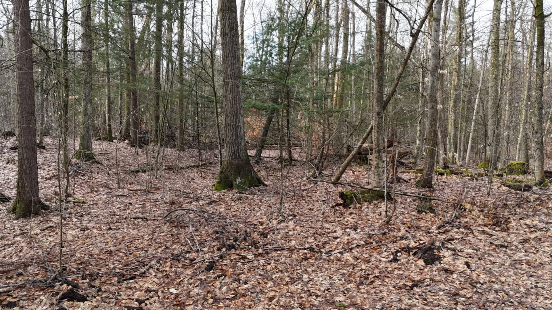 Property at 3650 State Route 69, Blossvale, NY 13471 16