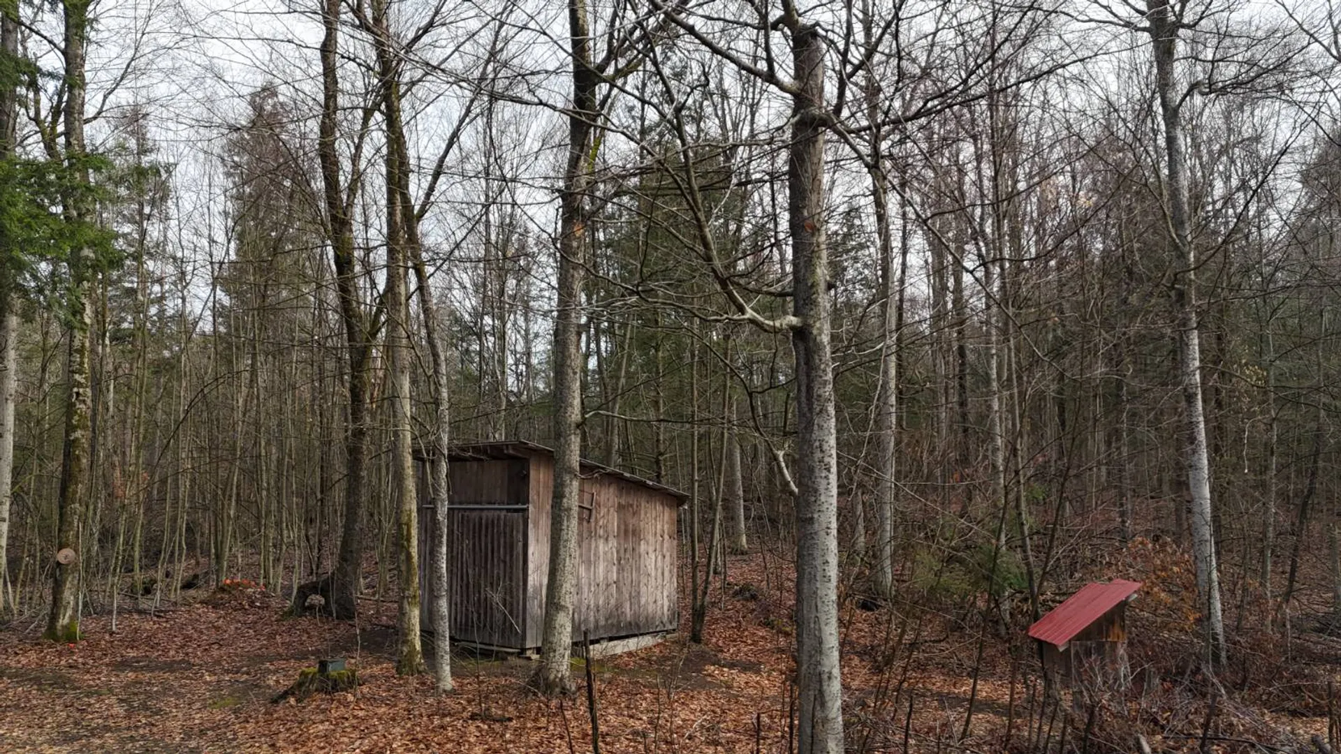 Property at 3650 State Route 69, Blossvale, NY 13471 17